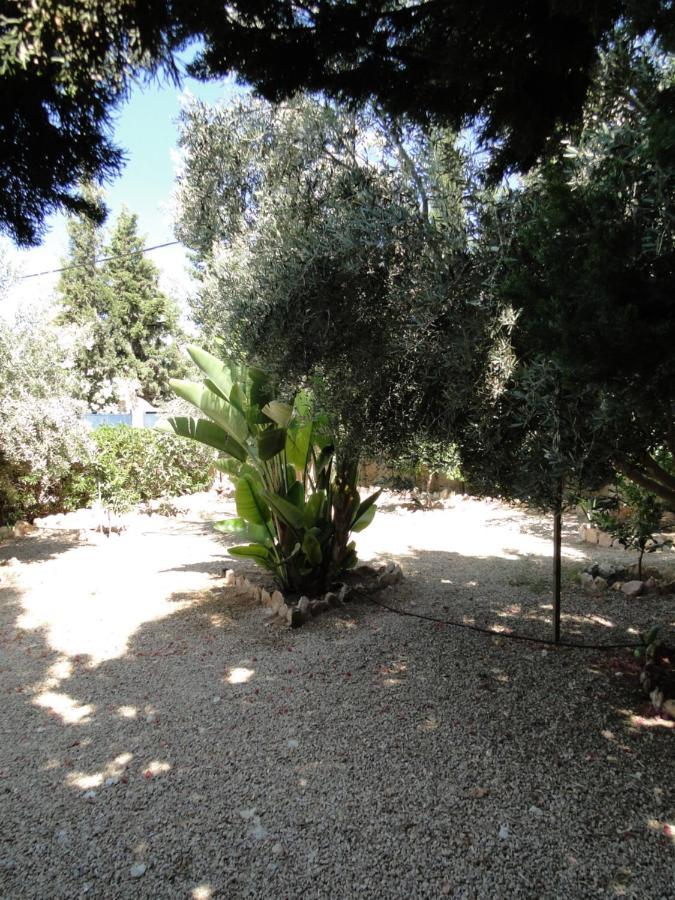 Maison Calme Et Reposante Essaouira Ngoại thất bức ảnh